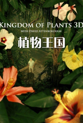 ֲ - Kingdom of Plants 3D
