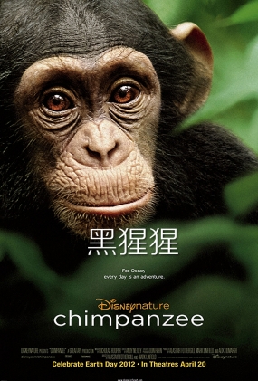  - Chimpanzee